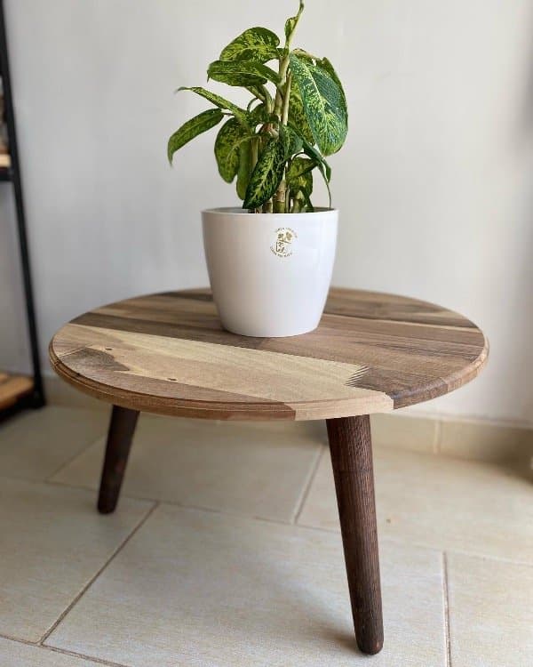 MESA RATONA